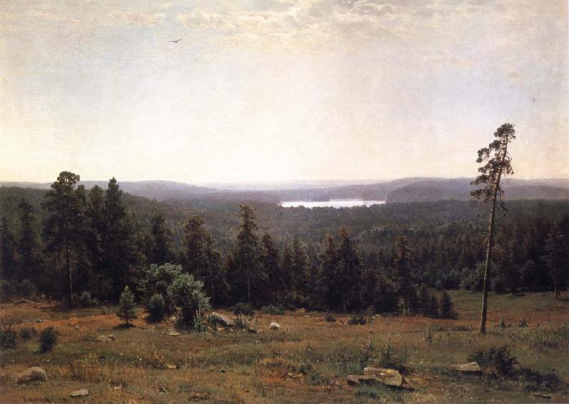 Ivan Shishkin Landscape of the Forest oil painting image